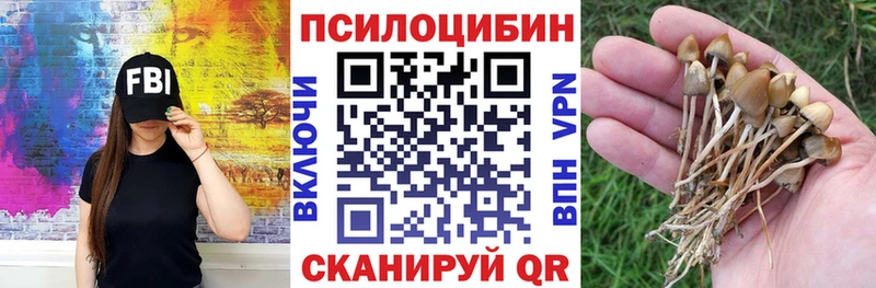 как найти наркотики  Геленджик  Галлюциногенные грибы MAGIC MUSHROOMS 